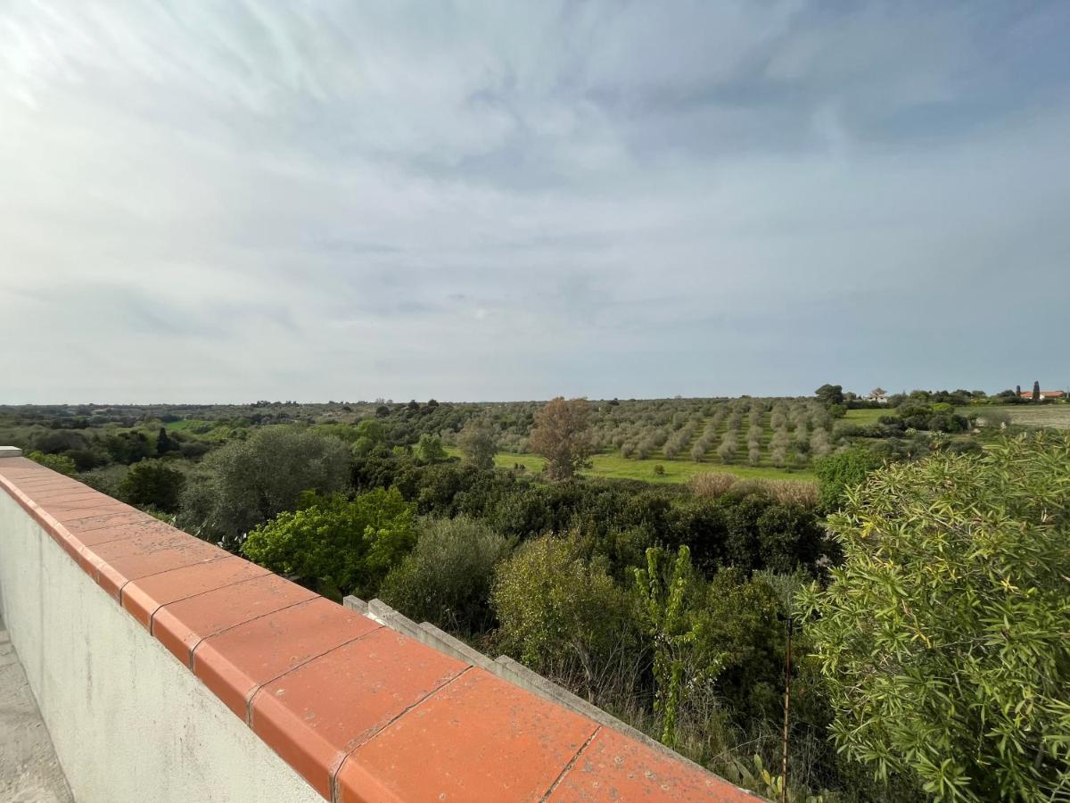 La Valle Incantata - Immerso Nel Verde A 10 Minuti Dal Mare Apartment Сасари Екстериор снимка